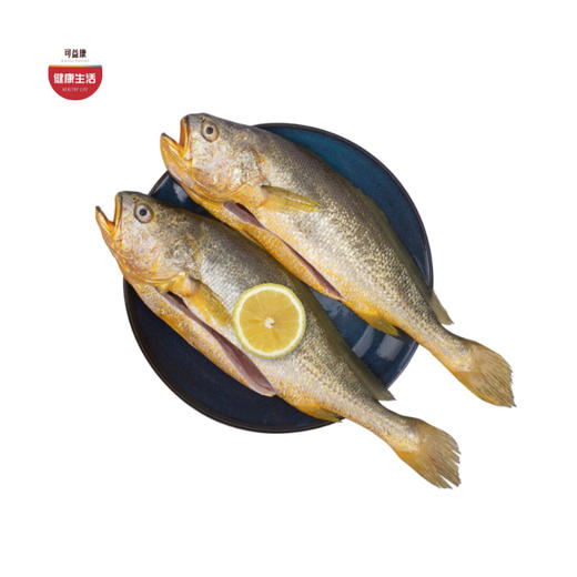 优选|福建冰鲜三去净膛黄花鱼 刺少肉厚 肉质晶莹 极速锁鲜  细腻鲜嫩 400g*3条 商品图0