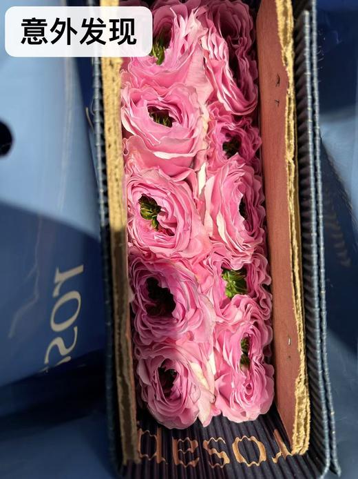 同城甄选厄瓜多尔进口玫瑰合集链接 商品图7