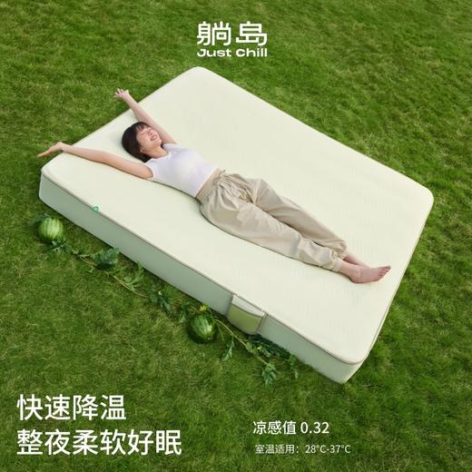 躺岛山野瓜自然机能凉席透气软床笠可折叠机洗夏冰丝席单双人家用 商品图3