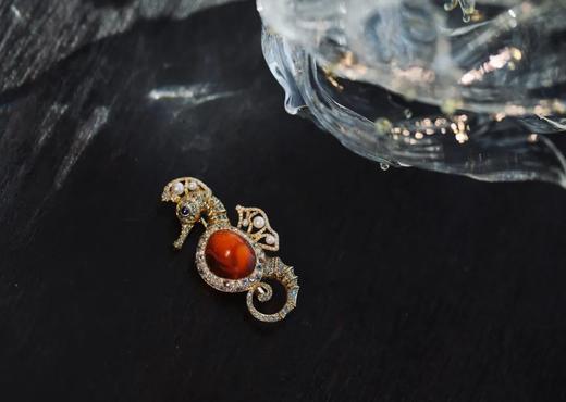 奔放而自由的海马 | 海马耳环、胸针 商品图1