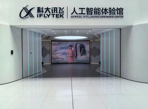 AI未来触手可及———科大讯飞科技半日探秘 商品图2