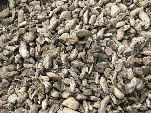 （特价处理）未去皮干净 筠姜粗颗粒【个别少量有虫眼 介意慎拍】   2公斤/份 商品图3