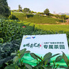 [25年新茶溯源直采]明前龙井200g方包礼盒装（赠试饮2包） 商品缩略图1