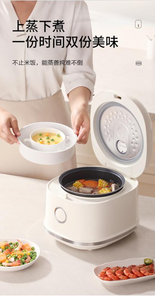 🔆【德世朗DDQ-FB505微电脑电饭煲】，简单操作😎 触屏操作+3L大容量👏+智能预约+600w功率+快速加热+🎐智能控温焖煮 💥让做饭更容易，一键直接搞定 商品图3