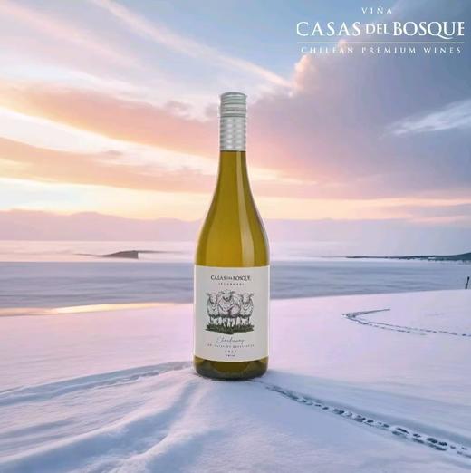 卡萨伯斯克酒庄精选霞多丽白葡萄酒（三羊风土标） 商品图3