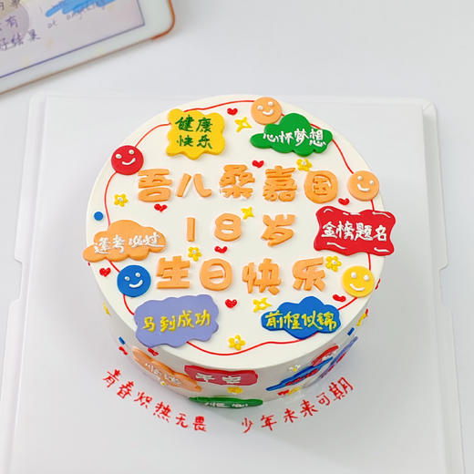 翻糖手绘祝福语蛋糕 商品图7