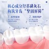 舒比拓固齿牙膏200g 商品缩略图4