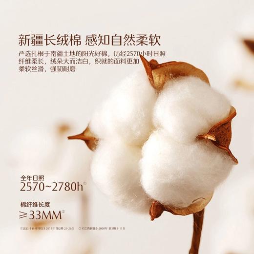 水星家纺南法系列A类60支新疆长绒棉印花四件套亲肤透气套件严选 商品图1