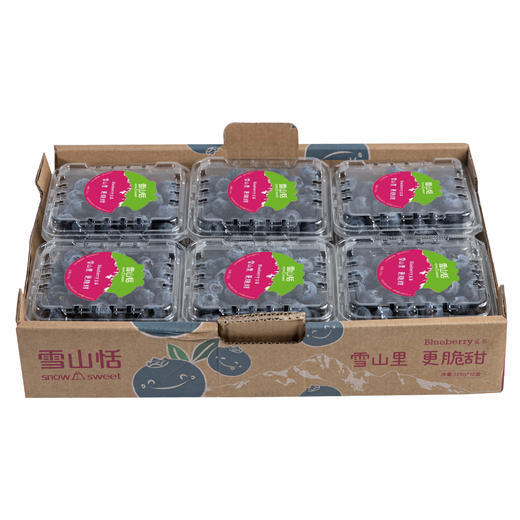 雪山恬-丽江雪山蓝莓大果12盒(125g/盒,果径15mm+) 商品图2