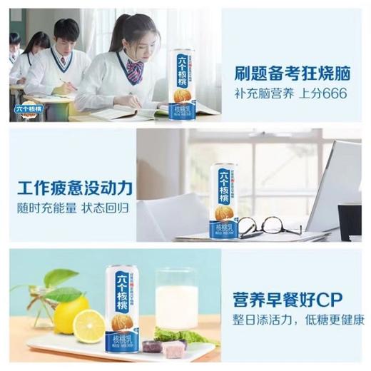 养元六个核桃精品型核桃乳 240ml 商品图5