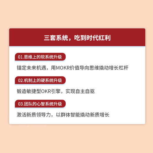 新质增长：OKR本土实战手册 企业团队绩效战略性思维提升实践指南 领导力高绩效工作模式效率提升 目标与关键结果工作法书籍 商品图2