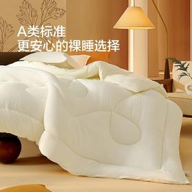水星家纺A类裸睡品质艾宝抑菌四季被冬被子保暖被芯床上用品严选