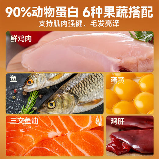 雷米高 澳宝猫粮鲜肉注浆猫粮成猫幼猫呵护肠胃美毛靓肤 澳宝鲜肉注浆全价全期猫粮 2kg 商品图1