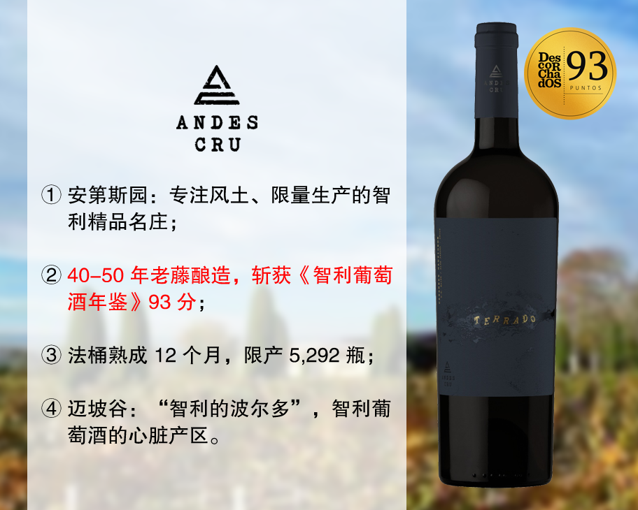 【成本价促销，整箱更优惠】智利精品名庄：安第斯园特拉多赤霞珠旗舰干红（2021年）