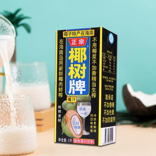 椰树椰汁植物蛋白饮料 1L 商品图1