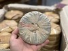 【回家之旅专属】澜沧古茶2006年0083（法翁、压螃蟹脚）云南普洱茶熟茶小饼125g 商品缩略图1