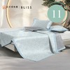 水星家纺 苏博联名款春夏舒适凉席 深海牧屿·苏博可水洗冰丝席 商品缩略图1