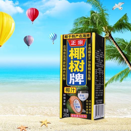椰树牌椰汁利乐包 245ml*6 商品图3