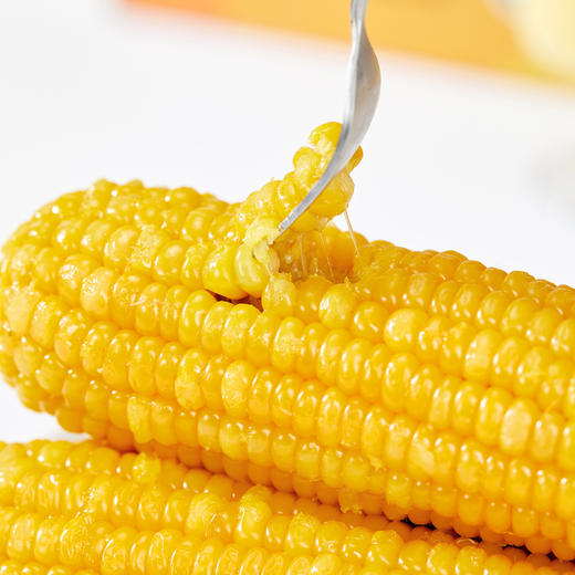 有机雪山玉米   糯甜饱满 玉米味  来自长白山黑土地 商品图1