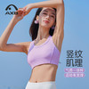 A25143NSL瑜伽背心高强度防震运动内衣女速干吸湿健身训练瑜伽服背心上衣 商品缩略图0