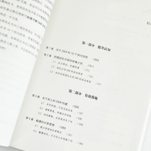 新质增长：OKR本土实战手册 企业团队绩效战略性思维提升实践指南 领导力高绩效工作模式效率提升 目标与关键结果工作法书籍 商品图3