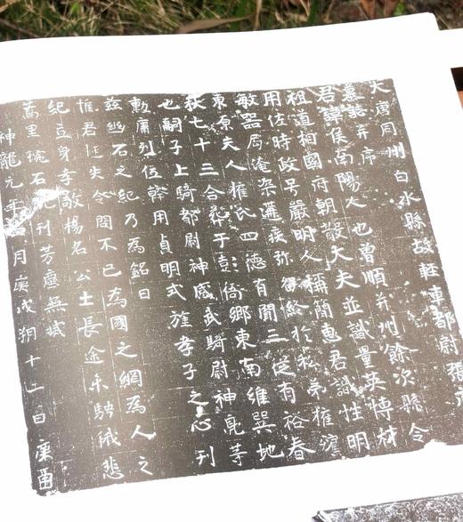 《白水碑刻》，精装，大8开，陕西省古籍整理办公室编，党斌主编，三秦出版社2022年一版一印，367页，定价580，售价288元。 商品图10