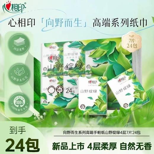 心相印向野而生餐巾纸 商品图0