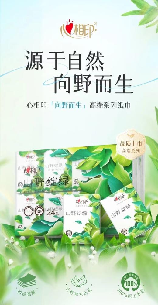 心相印向野而生餐巾纸 商品图4