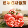 【分仓直发包邮】陕西普罗旺斯水果西红柿3斤小果（托盘装）（约15个）彩箱 商品缩略图0