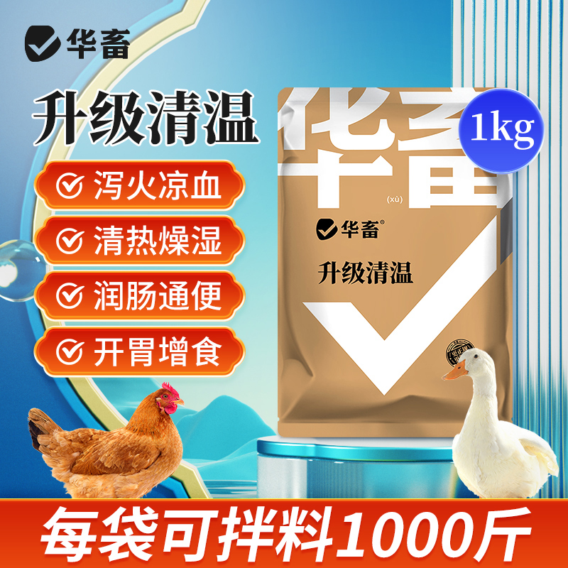 升级清温1kg泻火凉血清热燥湿润肠通便开胃增食