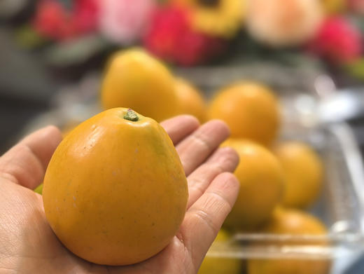 脆蜜金柑  霸王大果 商品图2