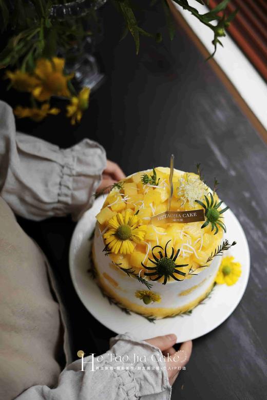 𝟎蔗糖低碳生酮斑斓椰香凤梨蛋糕 商品图5