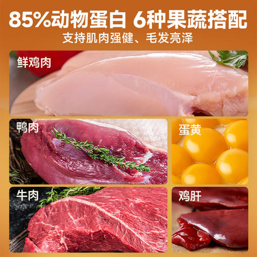 雷米高 澳宝犬粮鲜肉注浆犬粮成犬均衡膳食温和肠道 澳宝鲜肉注浆全价成犬粮 2.5kg 商品图3