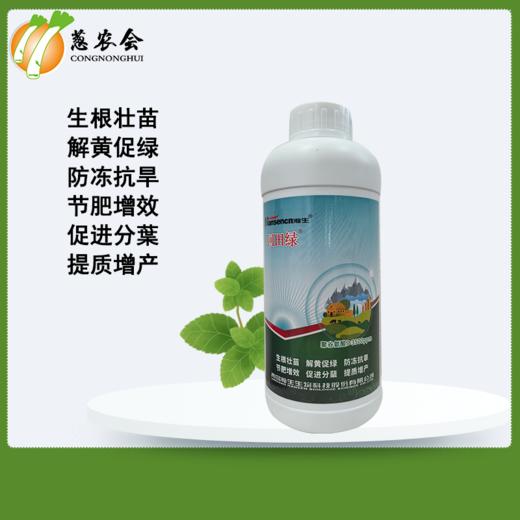 【肥料】叶片修复补充营养提质提产氨基酸水溶肥/中量型 商品图1