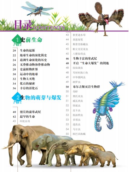 《史前动物大百科》 商品图3
