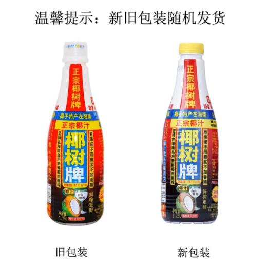 椰树椰汁植物蛋白饮料 1.25L 商品图4