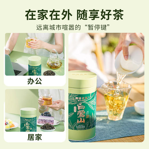 澜沧古茶2025年白莺山云南名山古树春茶散茶50g 商品图2