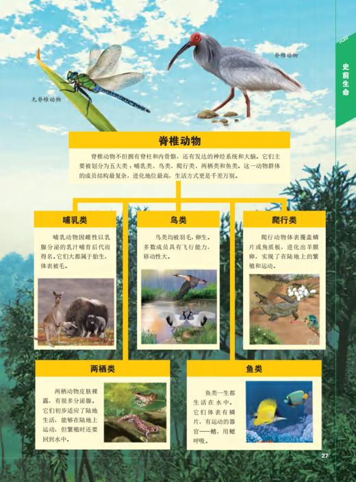 《史前动物大百科》 商品图11