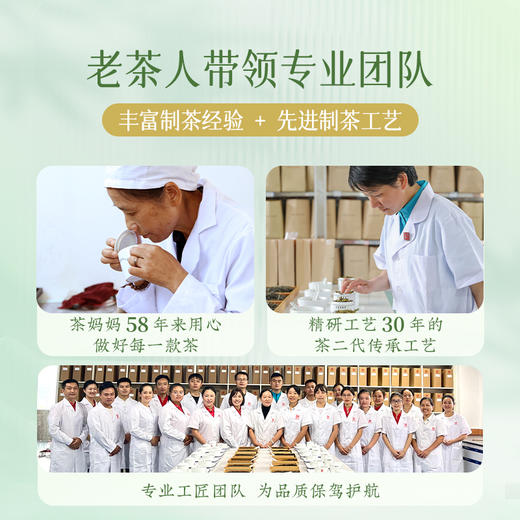 澜沧古茶2025年景迈春蕊云南明前春茶普洱茶生茶60g 商品图4