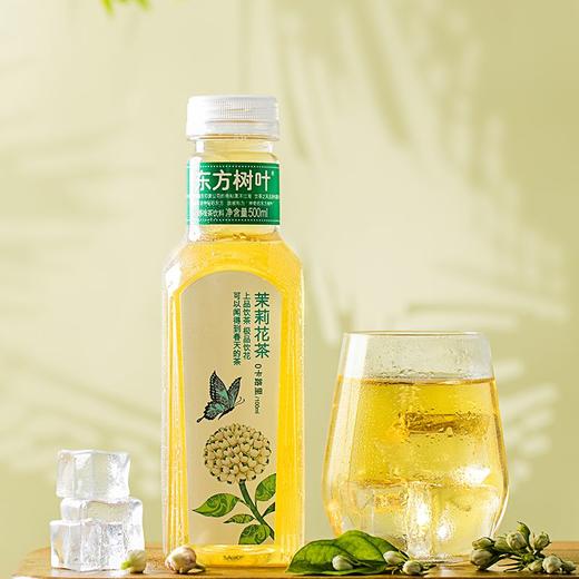 东方树叶茉莉花茶饮料 500ml/瓶 商品图3