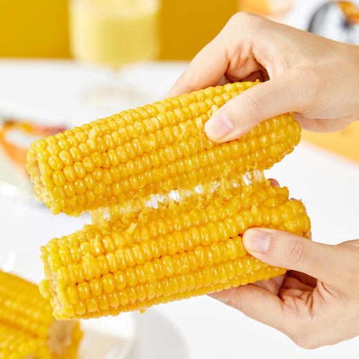 有机雪山玉米   糯甜饱满 玉米味  来自长白山黑土地 商品图3
