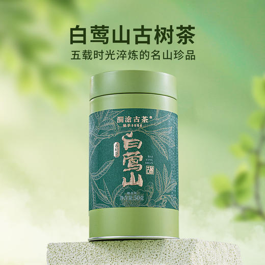 澜沧古茶2025年白莺山云南名山古树春茶散茶50g 商品图1