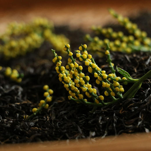 正宗祁门珠兰红茶一级  祁门红茶花茶 性温养胃 浓而不烈清而不淡 人工挑选 商品图4