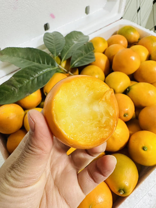 脆蜜金柑  霸王大果 商品图13