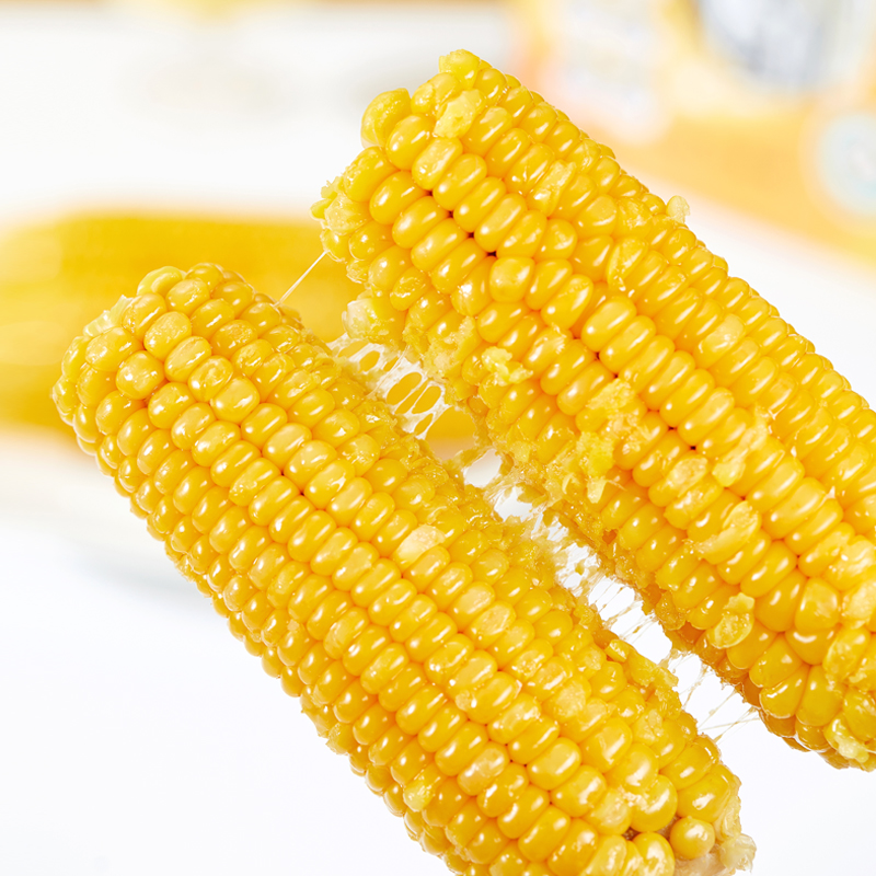 有机雪山玉米   糯甜饱满 玉米味  来自长白山黑土地
