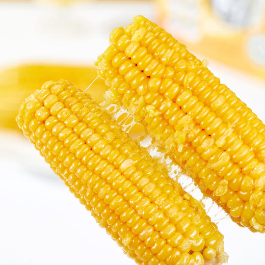 有机雪山玉米   糯甜饱满 玉米味  来自长白山黑土地 商品图0