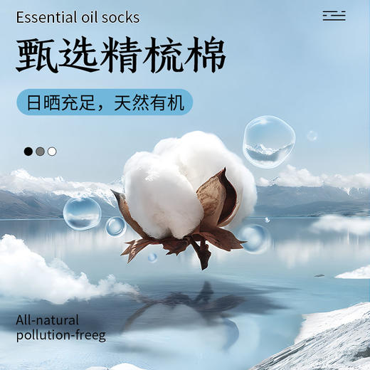 【7A级抗菌短袜】小莎鱼防臭养肤袜 吸汗消臭防臭 新疆精梳棉柔软舒适 加固耐磨不松不垮 商品图3