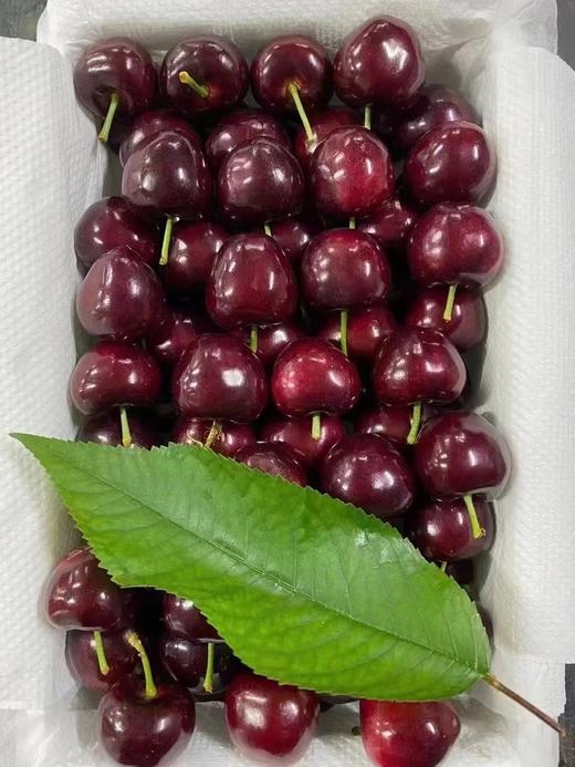 大连大樱桃 商品图6