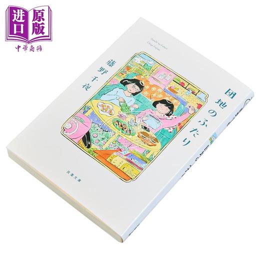预售 【中商原版】住宅区的两人 藤野千夜 日本文学小说 小泉今日子小林聪美主演同名日剧 日文原版 団地のふたり 双葉文庫 商品图2