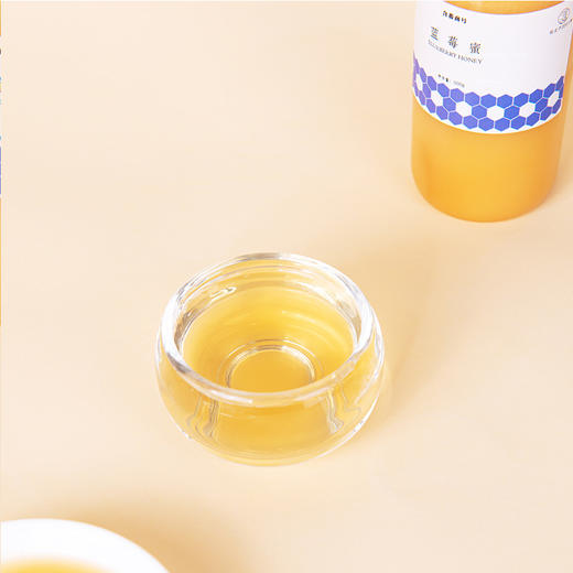 蓝莓蜜500克限时买二送一  商品图6